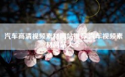 汽车高清视频素材网站推荐,汽车视频素材网站大全