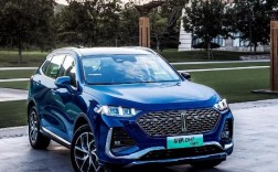 车标wey是什么牌子的车 车标 wer 什么车