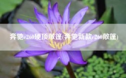 奔驰e260硬顶敞篷(奔驰新款e260敞篷)
