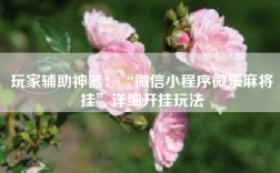 玩家辅助神器：“微信小程序微乐麻将挂”详细开挂玩法
