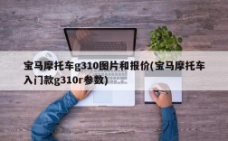 宝马摩托车g310图片和报价(宝马摩托车入门款g310r参数)
