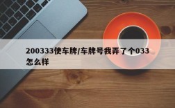 200333使车牌/车牌号我弄了个033怎么样