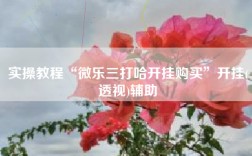 实操教程“微乐三打哈开挂购买”开挂(透视)辅助