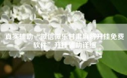 真实辅助“微信微乐甘肃麻将开挂免费软件”开挂辅助详细