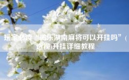 玩家必读“微乐湖南麻将可以开挂吗”(透视)开挂详细教程