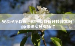 安装程序教程“微乐麻将有开挂神器吗”(原来确实是有插件