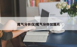 尾气分析仪/尾气分析仪图片