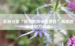 实测分享“微乐跑得快免费挂”揭秘透视辅助万能挂