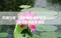 实测分享“如何使用辅助软件wepoker”(曝光透视必备猫腻