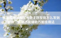独家实测“微乐斗地主好友房怎么发到好牌”揭秘透视辅助万能挂用法