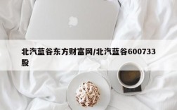 北汽蓝谷东方财富网/北汽蓝谷600733股