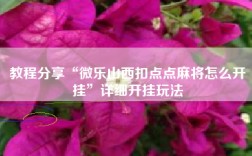 教程分享“微乐山西扣点点麻将怎么开挂”详细开挂玩法