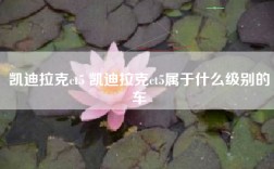 凯迪拉克ct5 凯迪拉克ct5属于什么级别的车