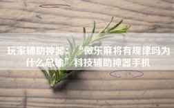 玩家辅助神器：“微乐麻将有规律吗为什么总输”科技辅助神器手机