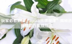 玩家必看教程“wepoker出牌规律”揭秘透视辅助万能挂用法