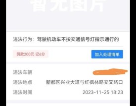 山东交警网违章查询处理 山东交警123123违章查询