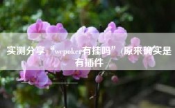 实测分享“wepoker有挂吗”(原来确实是有插件
