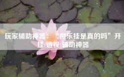 玩家辅助神器：“微乐挂是真的吗”开挂(透视)辅助神器