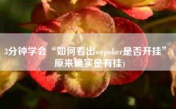 3分钟学会“如何看出wepoker是否开挂”(原来确实是有挂)