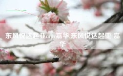 东风悦达起亚mpv嘉华,东风悦达起亚 嘉华
