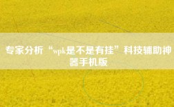专家分析“wpk是不是有挂”科技辅助神器手机版