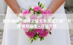 真实辅助“德扑之星免费透视下载”开挂辅助脚本+详细开挂