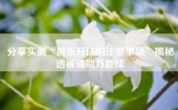 分享实测“微乐开挂的注意事项”揭秘透视辅助万能挂