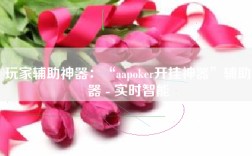 玩家辅助神器：“aapoker开挂神器”辅助器 - 实时智能