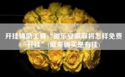 开挂辅助工具“微乐安徽麻将怎样免费开挂”(原来确实是有挂)