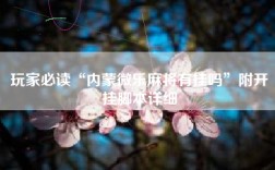 玩家必读“内蒙微乐麻将有挂吗”附开挂脚本详细