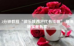 3分钟教程“微乐陕西三代有挂嘛”(原来确实是有挂)