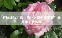 开挂辅助工具“德扑之星透视下载”通用版下载教程