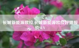 长城新能源欧拉,长城新能源欧拉好猫报价SUV