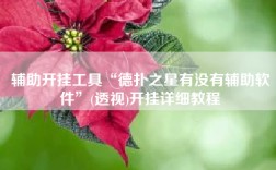 辅助开挂工具“德扑之星有没有辅助软件”(透视)开挂详细教程