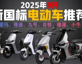 2023建议买的电动车 2025年买电动车