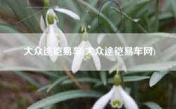 大众途铠易车(大众途铠易车网)