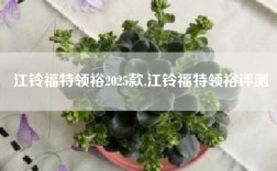 江铃福特领裕2025款,江铃福特领裕评测