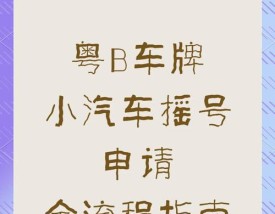 深圳车牌摇号的条件,深圳车牌摇号条件要求