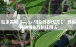 独家实测“wepoker辅助器游戏玩法”揭秘透视辅助万能挂用法