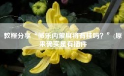 教程分享“微乐内蒙麻将有挂吗？”(原来确实是有插件