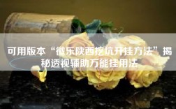 可用版本“微乐陕西挖坑开挂方法”揭秘透视辅助万能挂用法