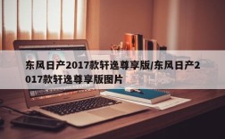 东风日产2017款轩逸尊享版/东风日产2017款轩逸尊享版图片