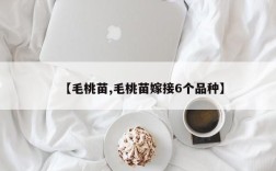【毛桃苗,毛桃苗嫁接6个品种】