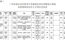 广西人才网官方网 广西人才网官方网站百色