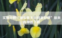 实测分析“微乐春天如何拿好牌”原来有神器下载