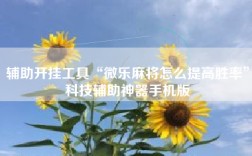 辅助开挂工具“微乐麻将怎么提高胜率”科技辅助神器手机版