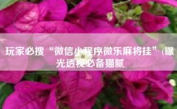 玩家必搜“微信小程序微乐麻将挂”(曝光透视必备猫腻