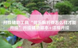 开挂辅助工具“微乐麻将要怎么样才能开挂”开挂辅助脚本+详细开挂