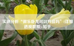 实测分析“微乐卧龙可以开挂吗”(详细透视教程)-知乎