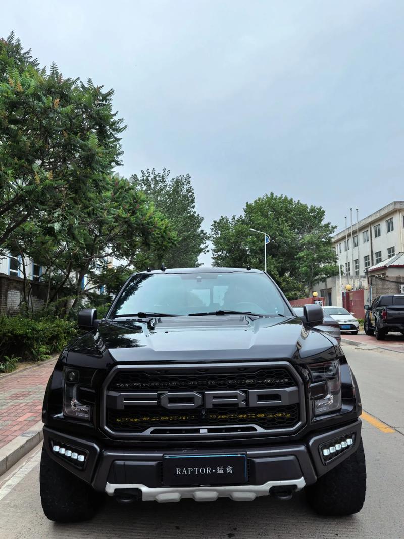 猛禽皮卡车价格 猛禽皮卡车价格2024款图片